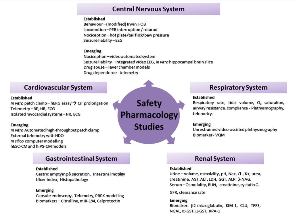 Fig.3 Traditional and new parameters and methods in safety pharmacology research.