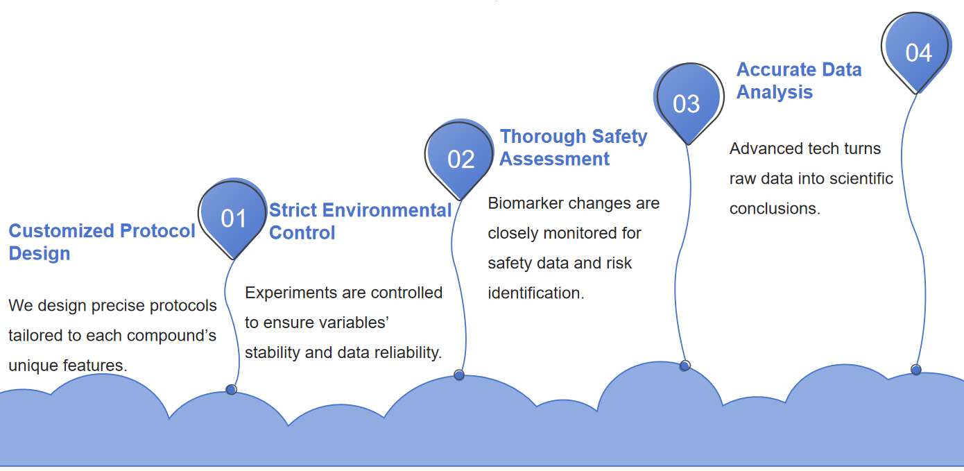 Fig.1 Basic principles of carcinogenicity studies for nucleic acid drugs