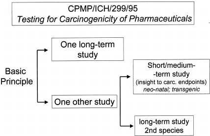 Fig.2 Core concepts in carcinogenicity testing.