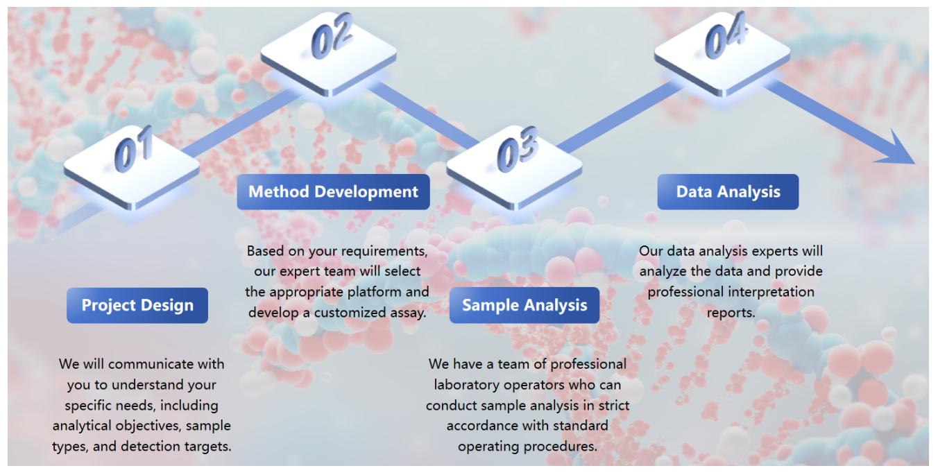 Fig.2 Immunogenicity testing flow chart for nucleic acid drugs.