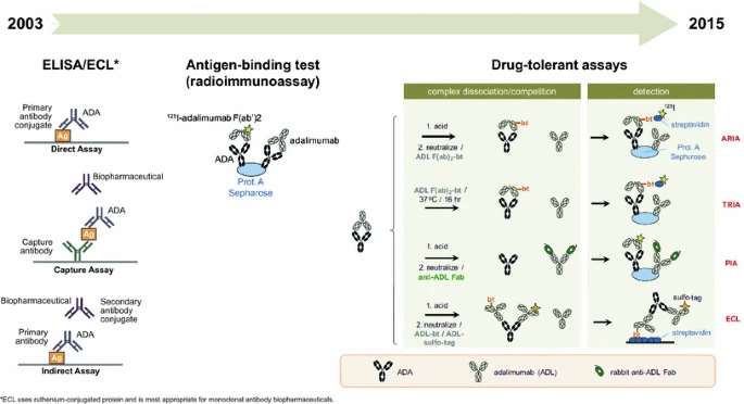 Fig.3 Immunogenicity assays for drug