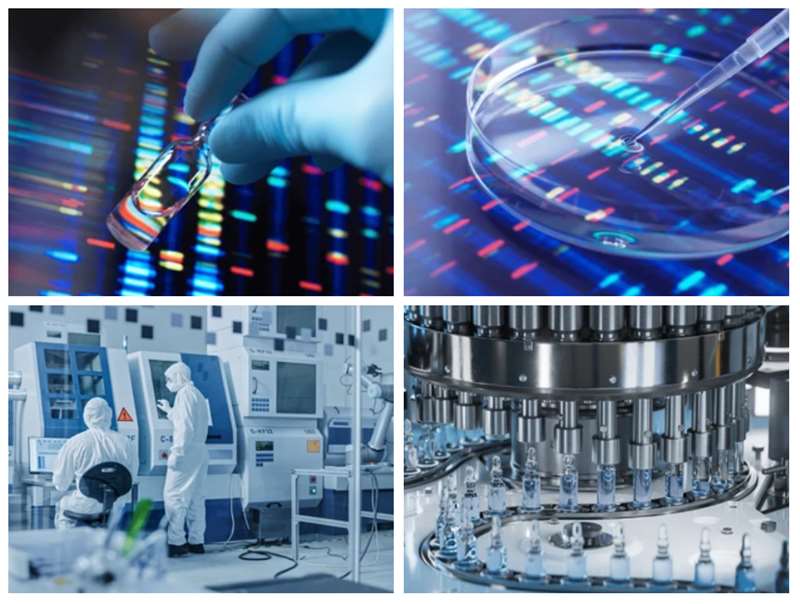 Fig.1 Process design and optimization for nucleic acid drugs