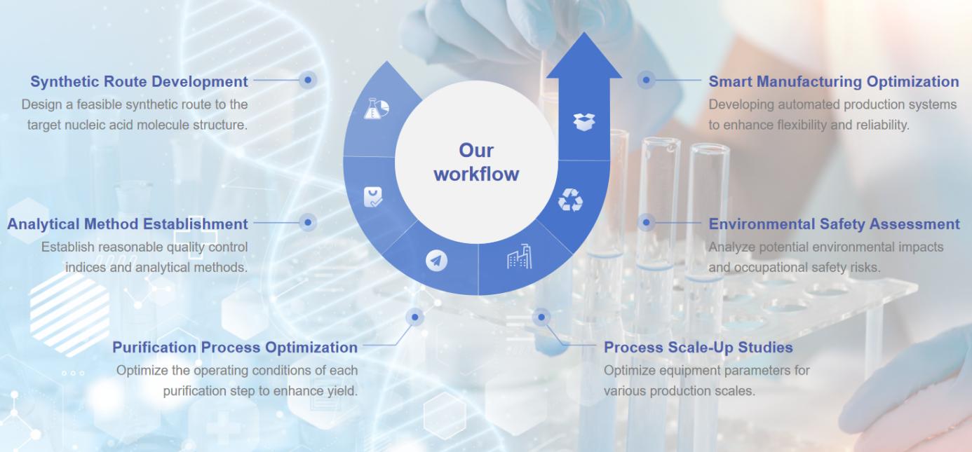 Fig.2 A workflow for designing and optimizing nucleic acid drugs