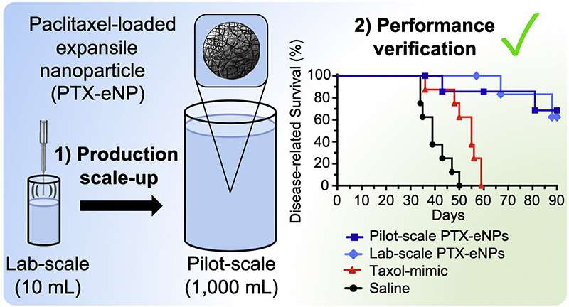 Fig.2 Pilot-scale manufacturing process for expansile nanoparticles.