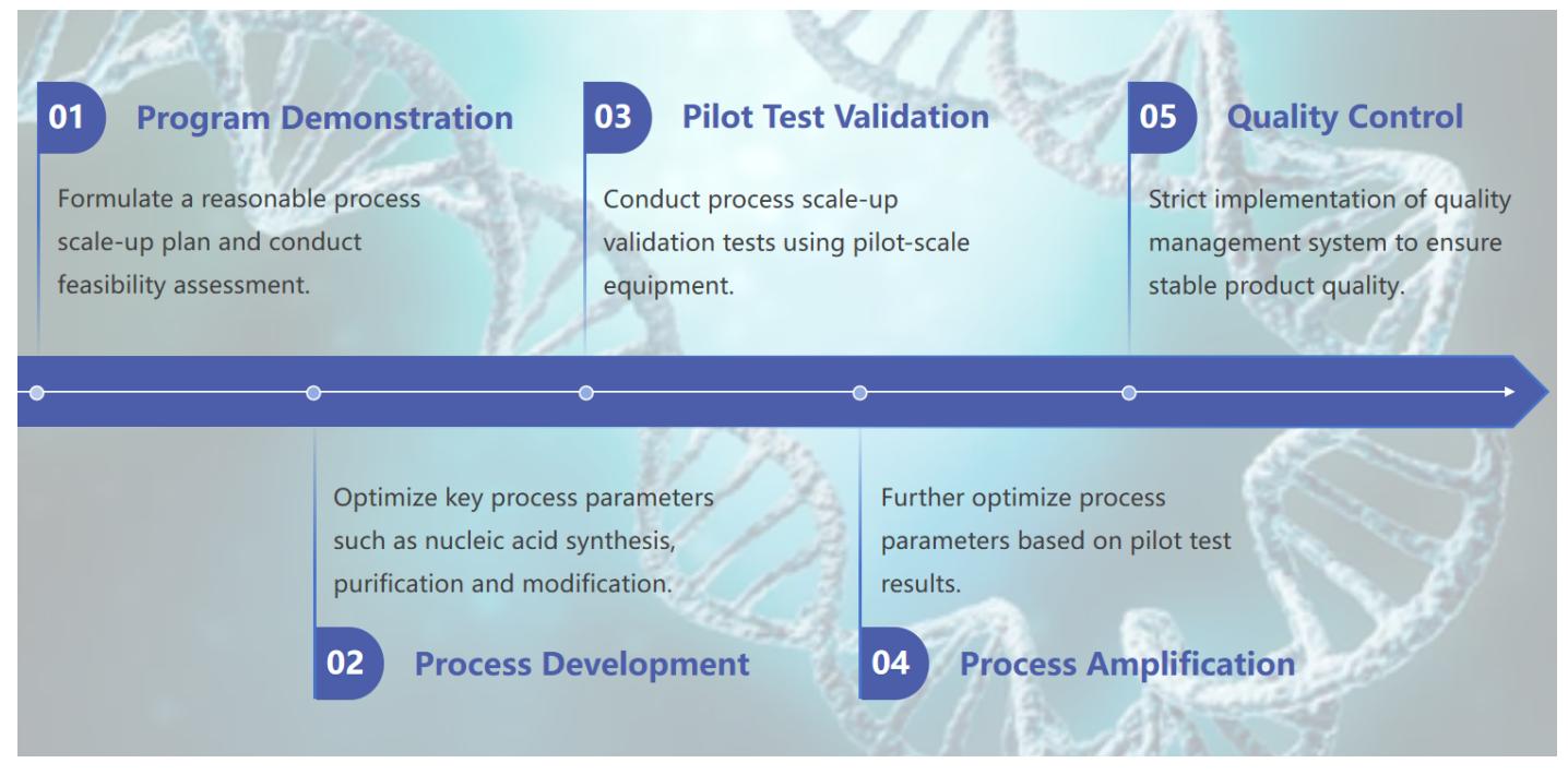 Fig.1 A workflow for nucleic acid drug process scale-up