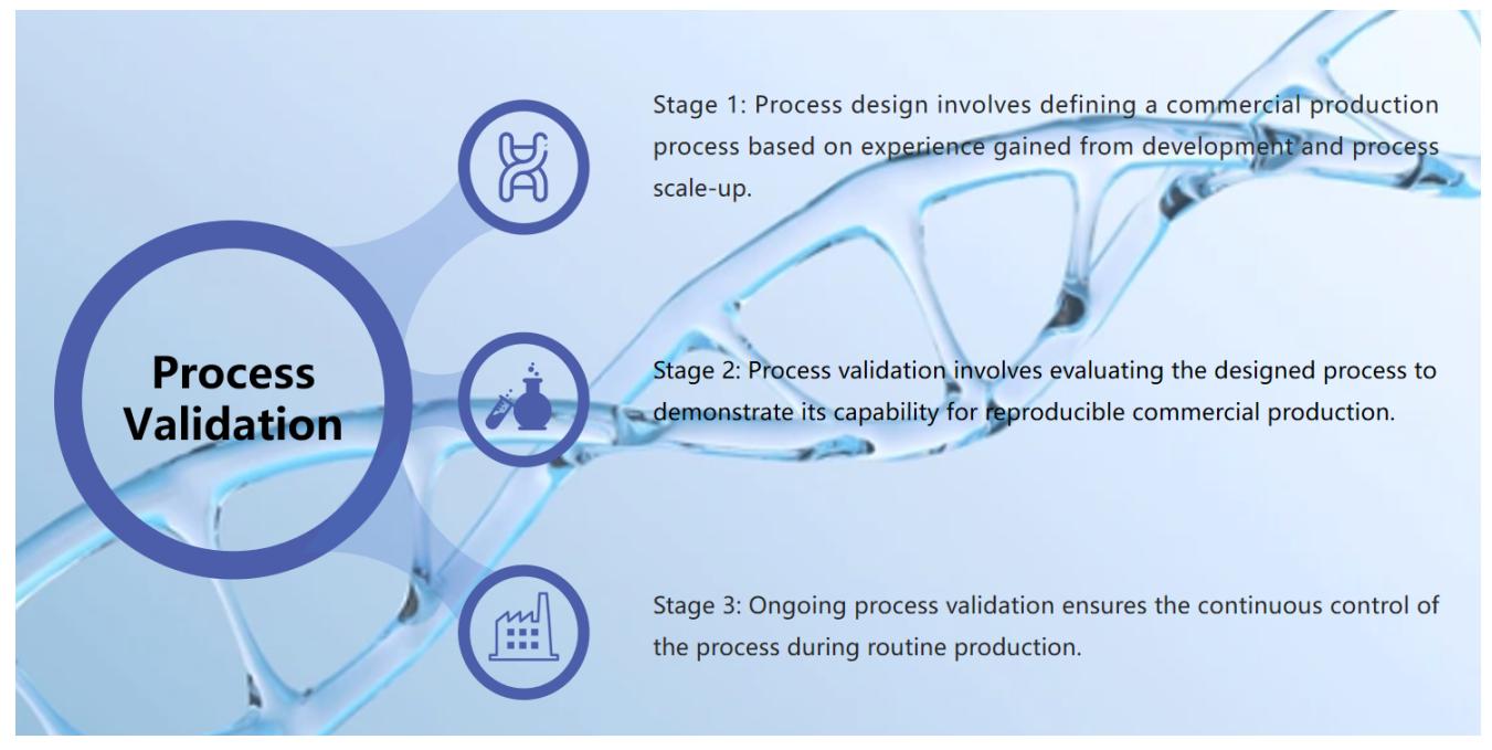 Fig.1 A workflow for nucleic acid drug process validation