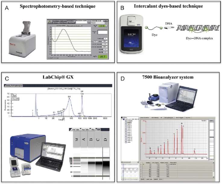 Fig.1 DNA quality evaluation methods.