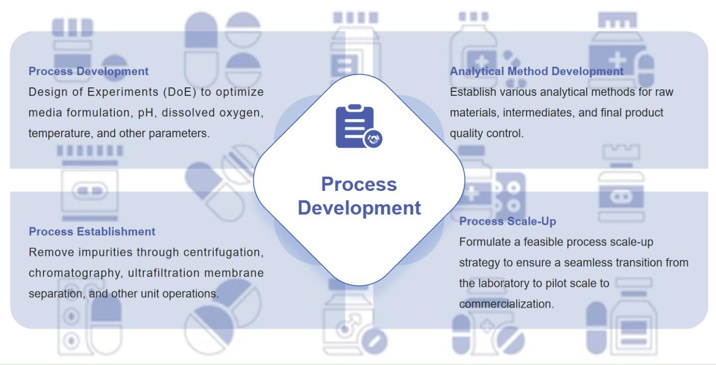 Fig.1 Workflow for nucleic acid drugs process development.