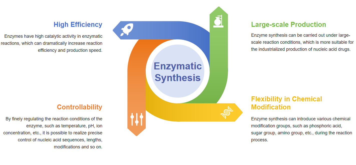 Fig.1 Enzyme synthesis technology advantages for nucleic acid drugs