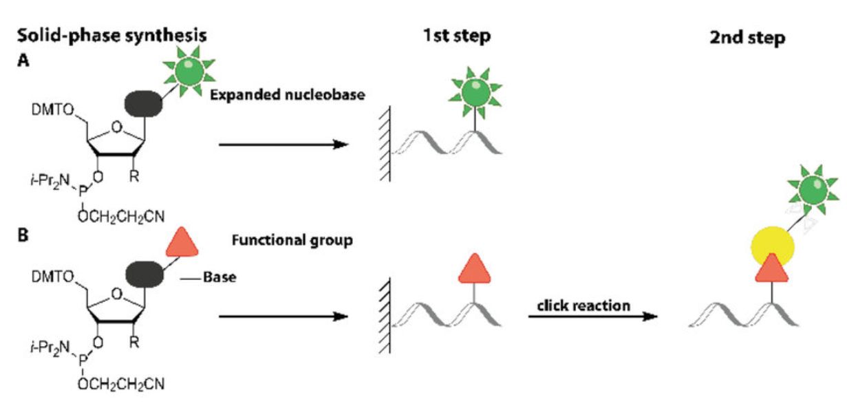 Fig.2 Nucleic acid synthesis by solid-phase technology