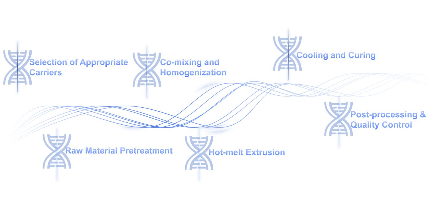 Fig.2 Workflow of nucleic acid formulation