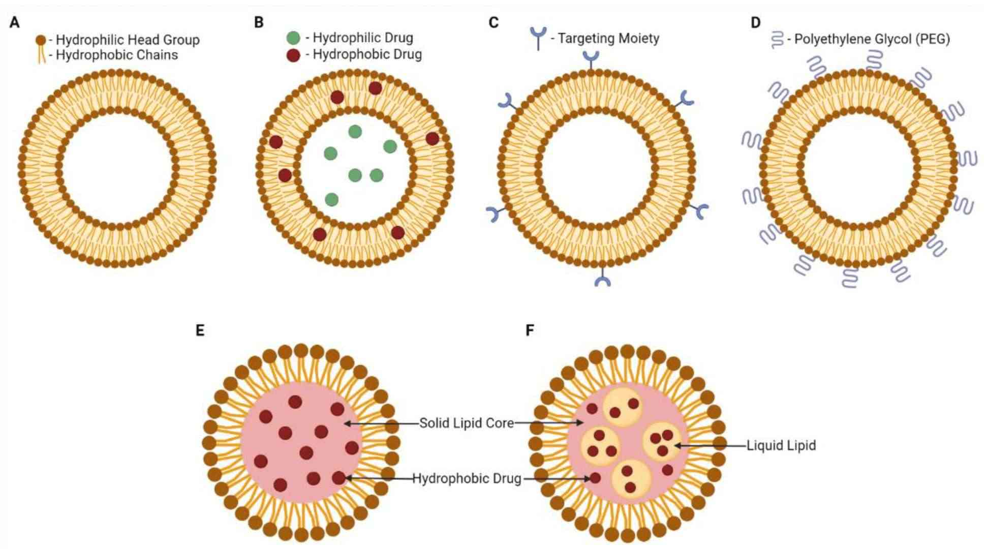 Fig.2 Structures and compositions of different lipid nanoparticles.