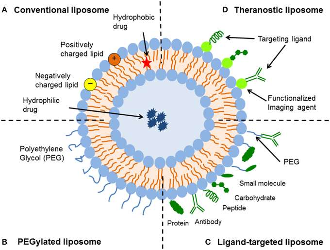 Fig.1 Diagrammatic illustration of various liposomal drug delivery system types.