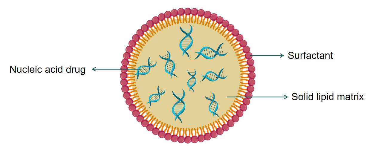 Fig.1 Benefits of solid lipid nanoparticles in drug delivery applications.