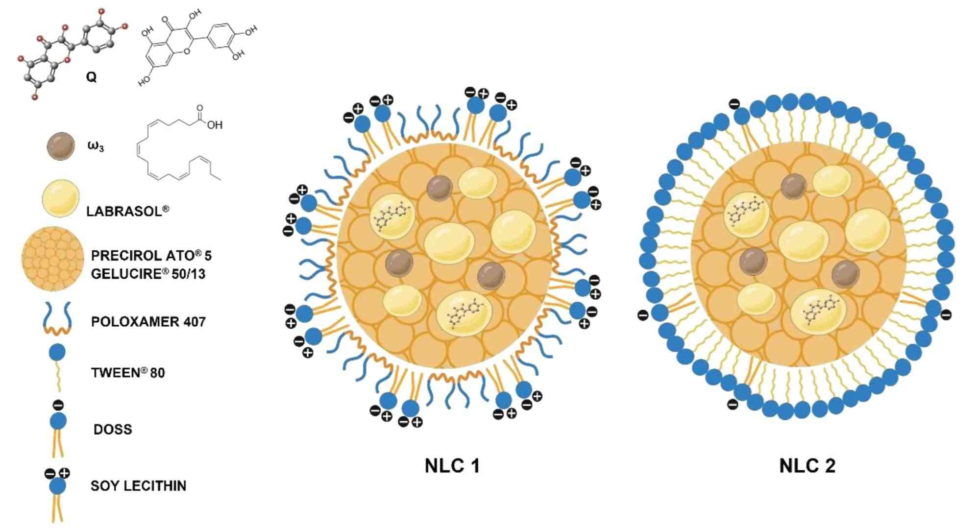 Fig.3 Diagrammatic illustration of nanostructured lipid carriers (NLCs).