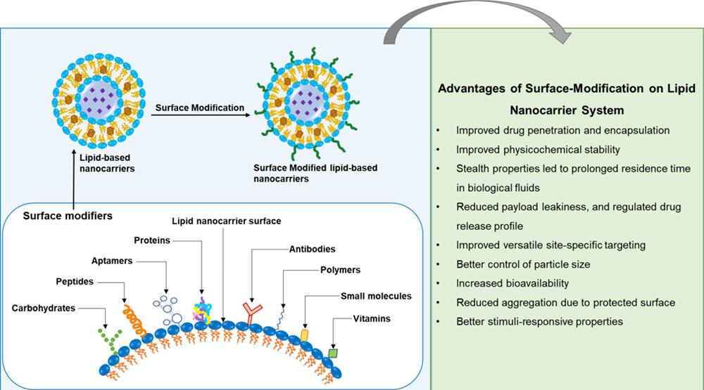 Fig.2 Surface modification of lipid-based nanocarriers for drug delivery