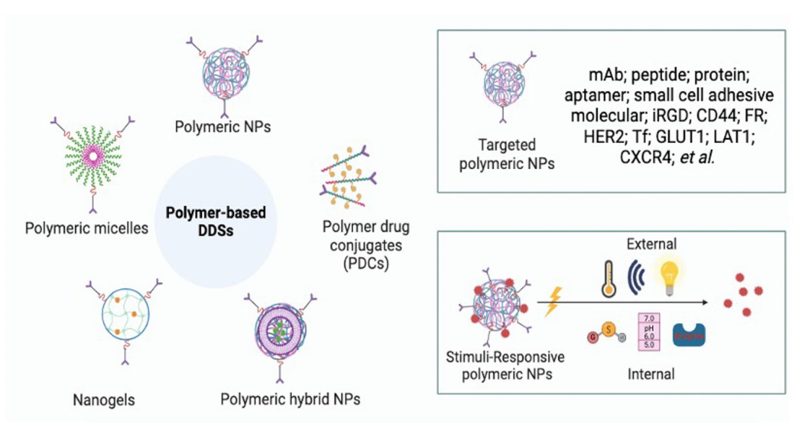 Fig.1 Types of polymer-based drug delivery systems