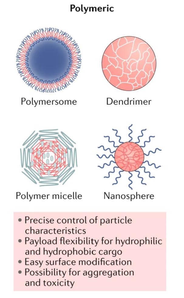 Fig.2 Types of polymer nanoparticles