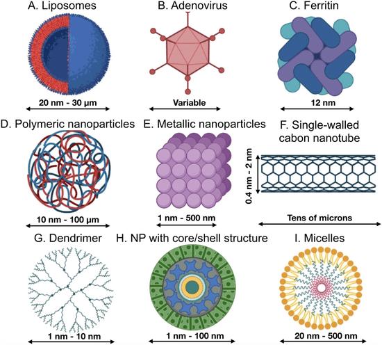 Fig.2 Different nanoparticle types are used for drug delivery