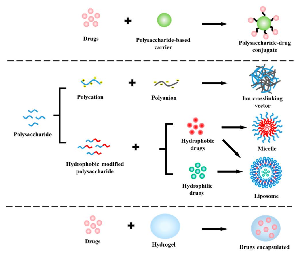 Fig.1 Advantages of natural polysaccharide platforms