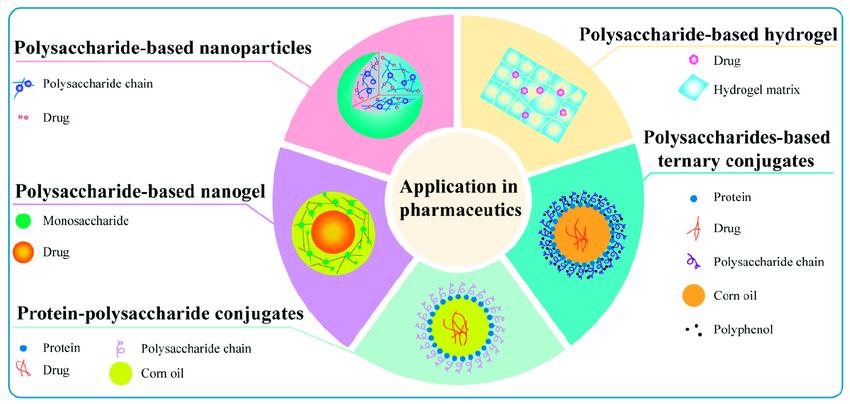 Fig.2 The application of natural polysaccharides in drug delivery.