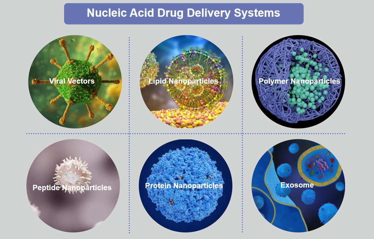 Fig.1 Classess of nucleic acid drug delivery systems.