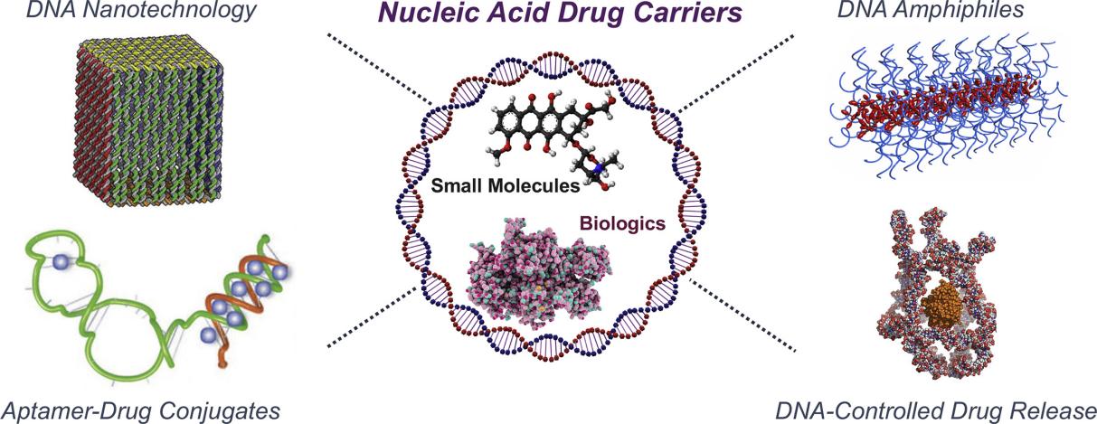 Fig.2 Drug delivery strategies for nucleic acids