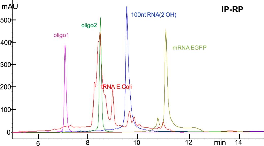 Fig.2 Analysis of nucleic acid molecules by HPLC technology