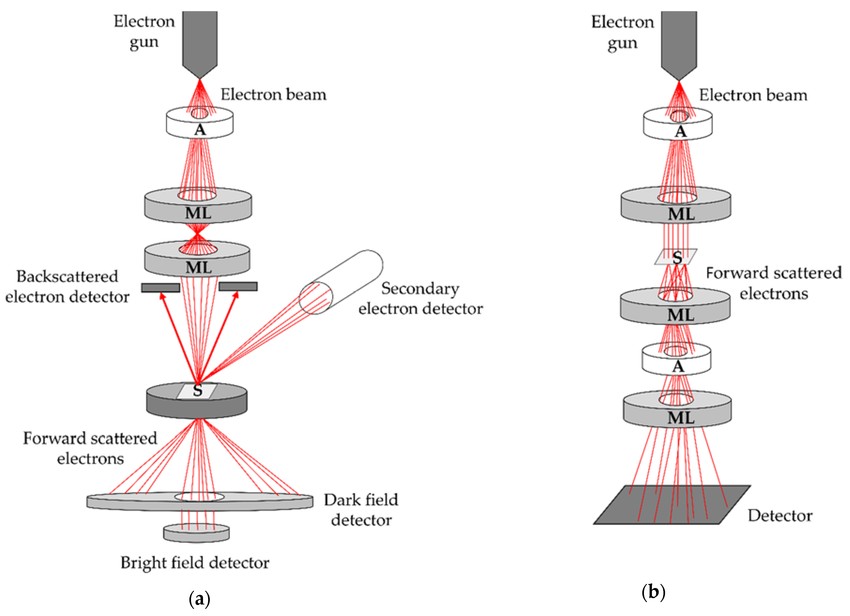 Fig.2 SEM platform for analyzing extracellular vesicles (EVs)