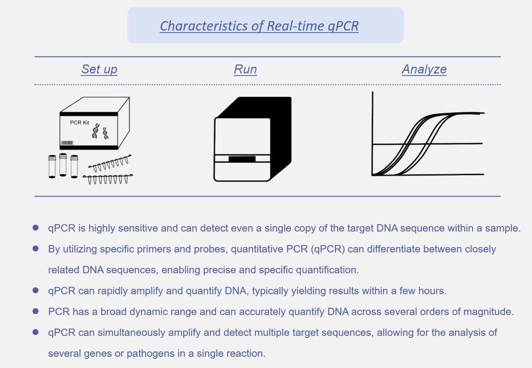 Fig.1 Advantages of real-time quantitative PCR (qPCR)