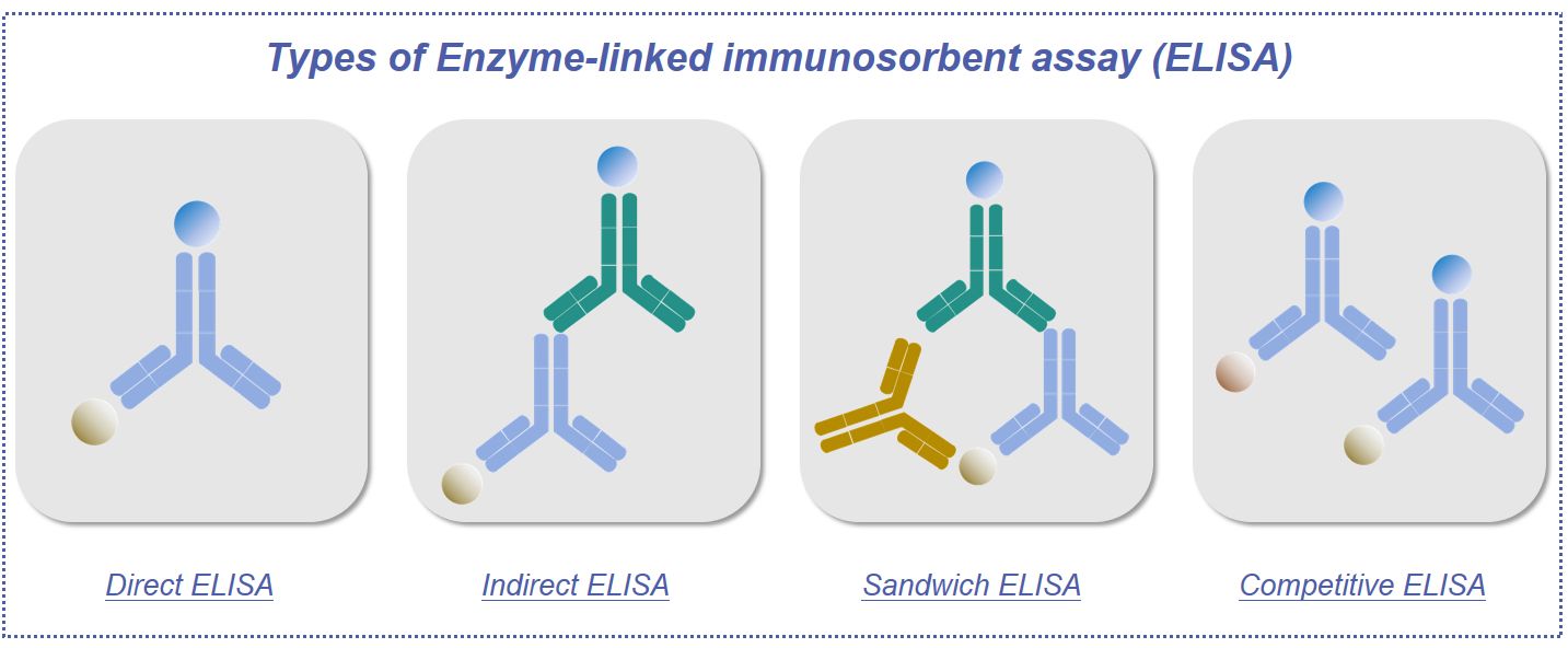 Fig.1 Types of our ELISA platforms