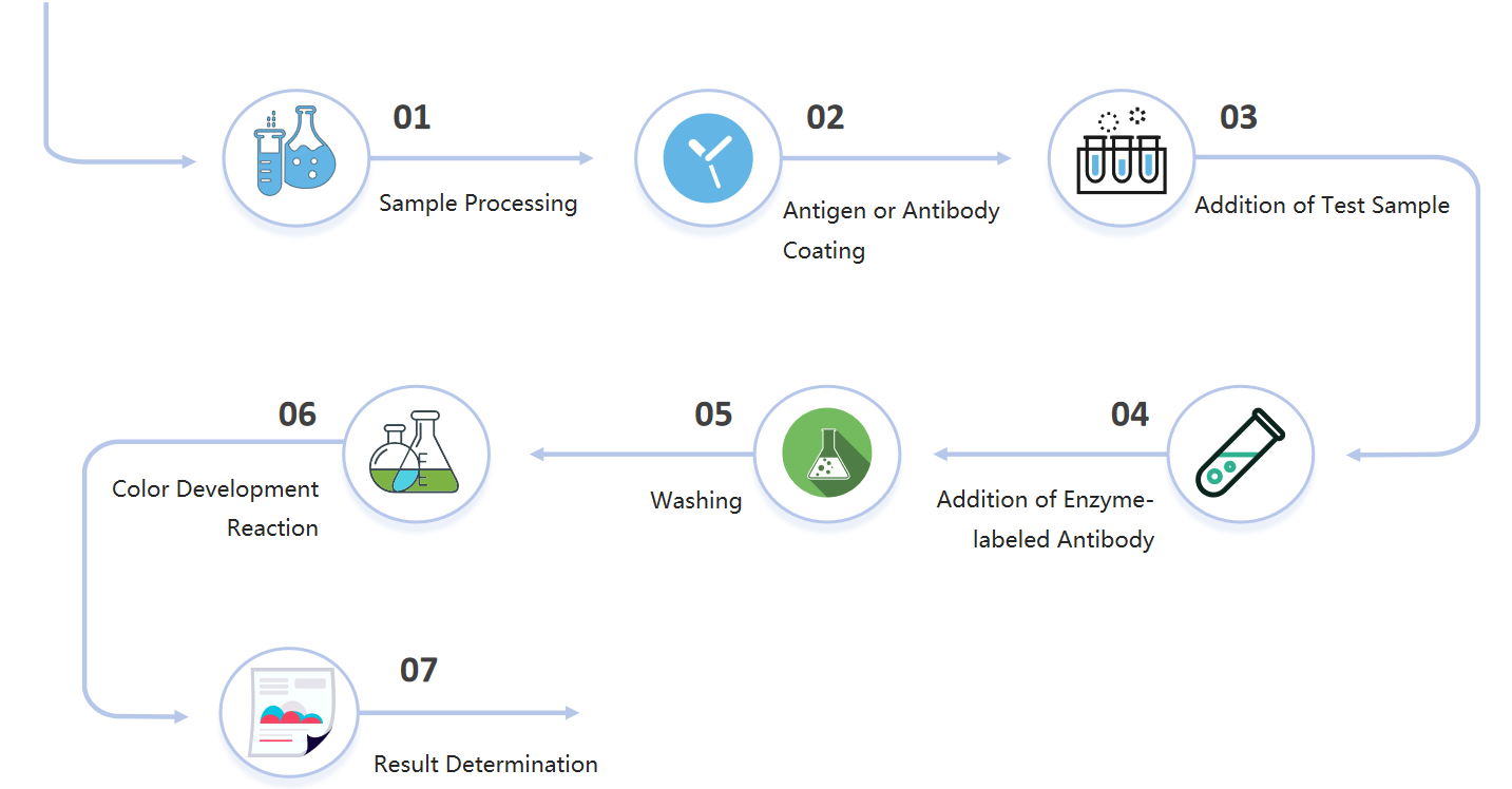 Fig.2 Steps of ELISA in nucleic acid formulations