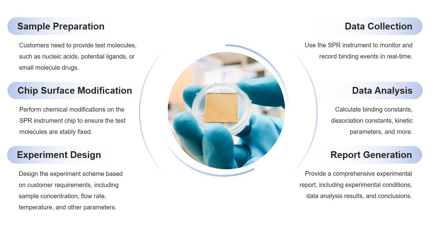 Fig.2 Workflow of our SPR technology platform for nucleic acid drugs