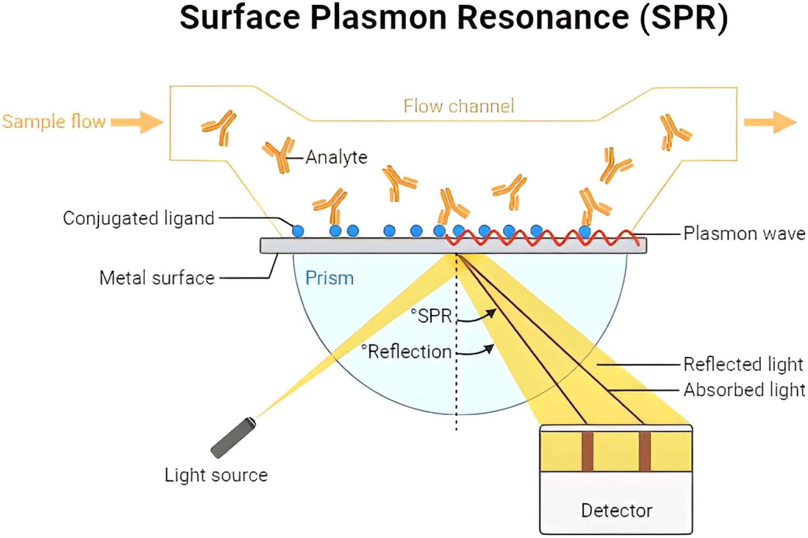 Fig.3 SPR technology for drug development