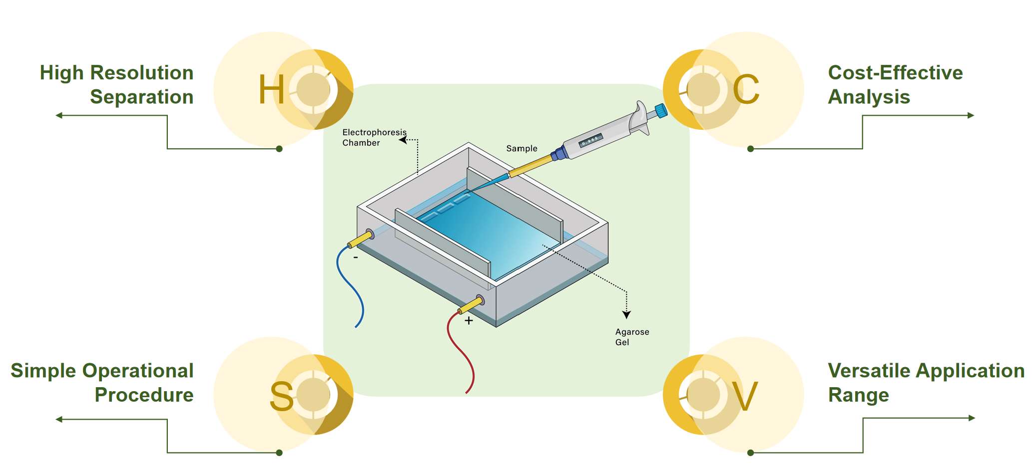 Fig.1 Characteristics of Gel Electrophoresis Technology.