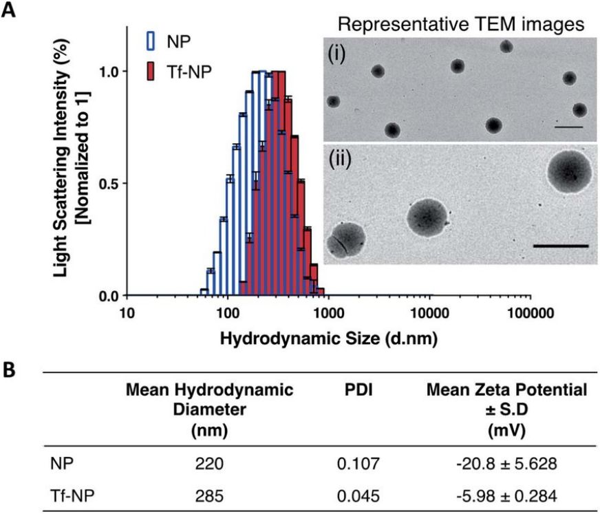 Fig.2 Dynamic Light Scattering technology platform for therapeutic nanoparticles