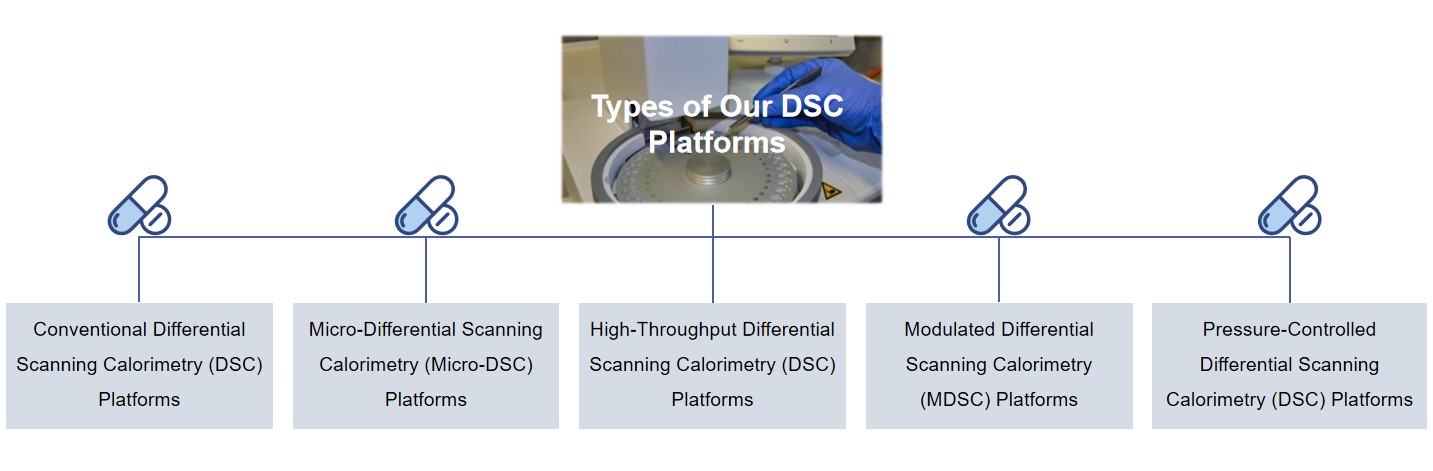 Fig.1 Types of DSC platform for nucleic acid drugs