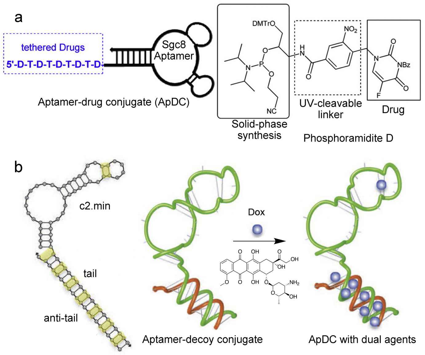 Fig.1 Aptamer-based drug delivery systems