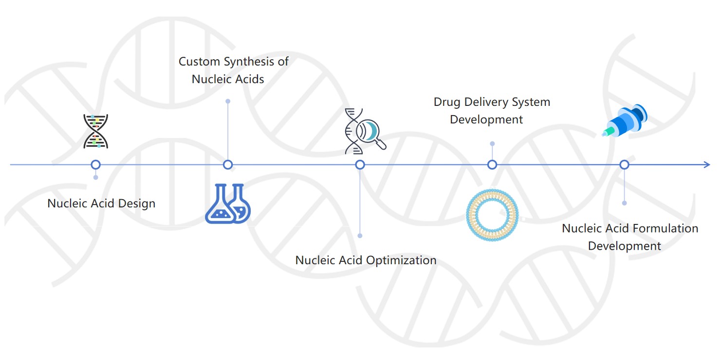 Fig.2 One-stop solutions for nucleic acid formulations