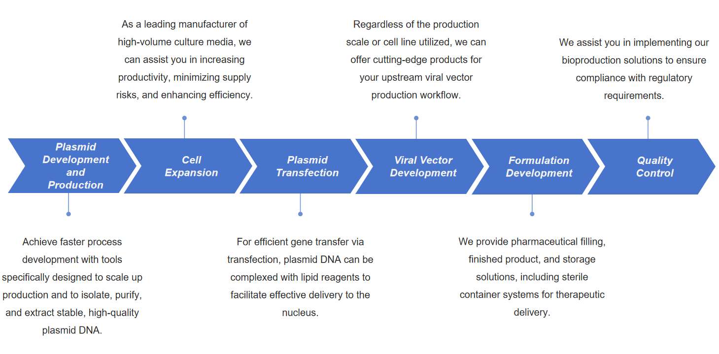 Fig.1 Gene therapy development solutions