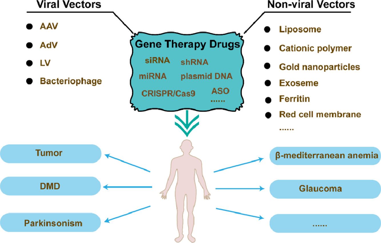 Fig.2 Delivery of gene therapy drugs by viral vector and non-viral vector technologies