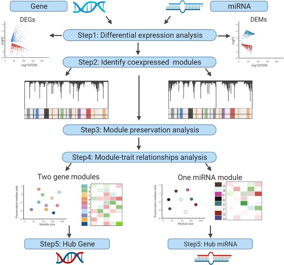 Fig.2 Workflow to identify novel anticancer targets.