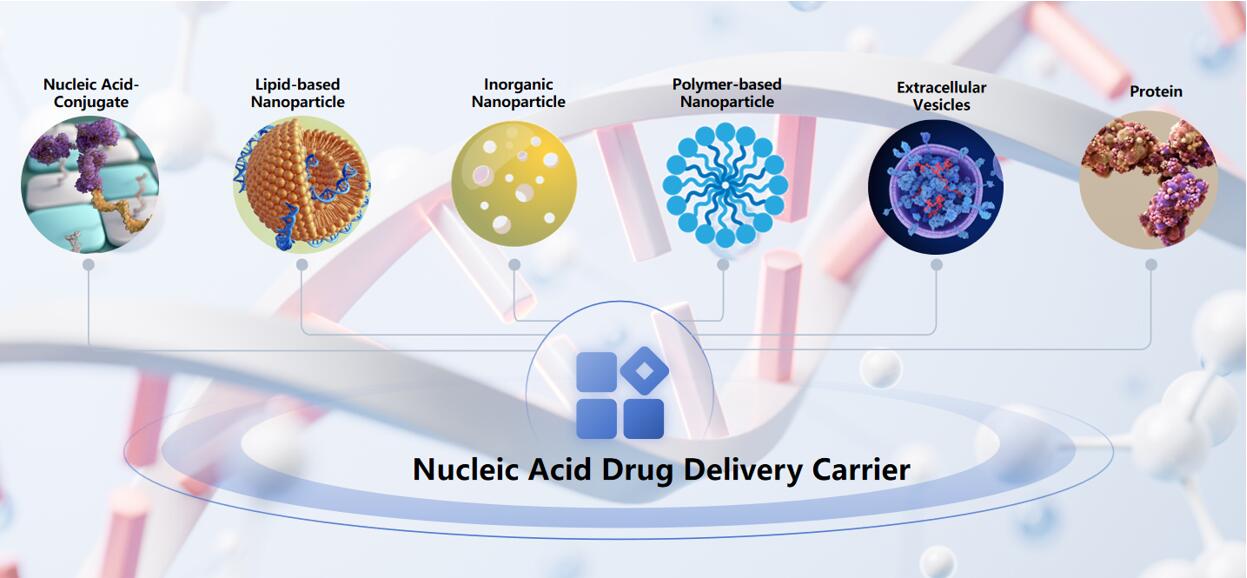 Fig.1 Available nucleic acid carriers.