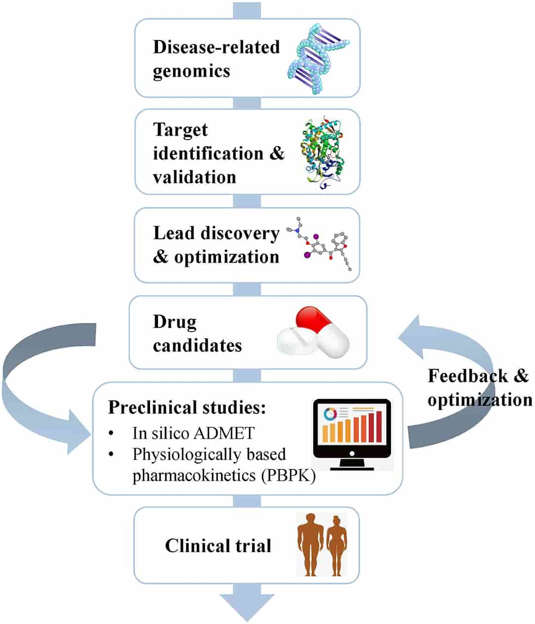 Fig.1 The main content of the oral thin film preclinical studies.