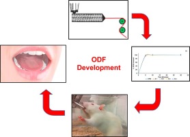 Fig.3 Creation of an oral fast-dissolving anti-allergic film using hot-melt extrusion technology.