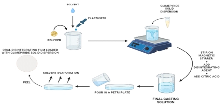 Fig.1 Production of fast-dissolving buccal film solid dispersion.