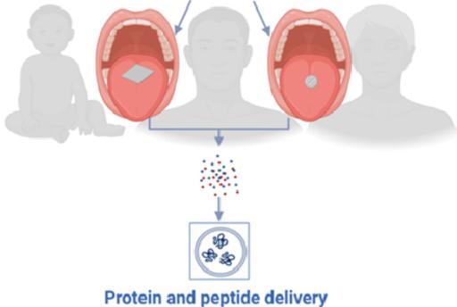 Fig.2 Orally Disintegrating Dosage Forms Containing Therapeutic Proteins and Peptides.