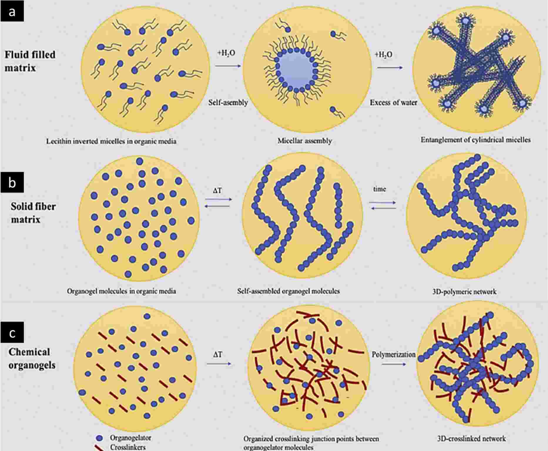 Fig.2 Schematic illustration of organogel network arrangements.