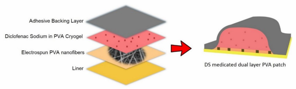 Fig.1 Diagram showing components of a dual-layer PVA patch for drug delivery.