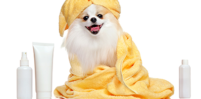 Customization Services for Pet Cleaning and Toiletries Products